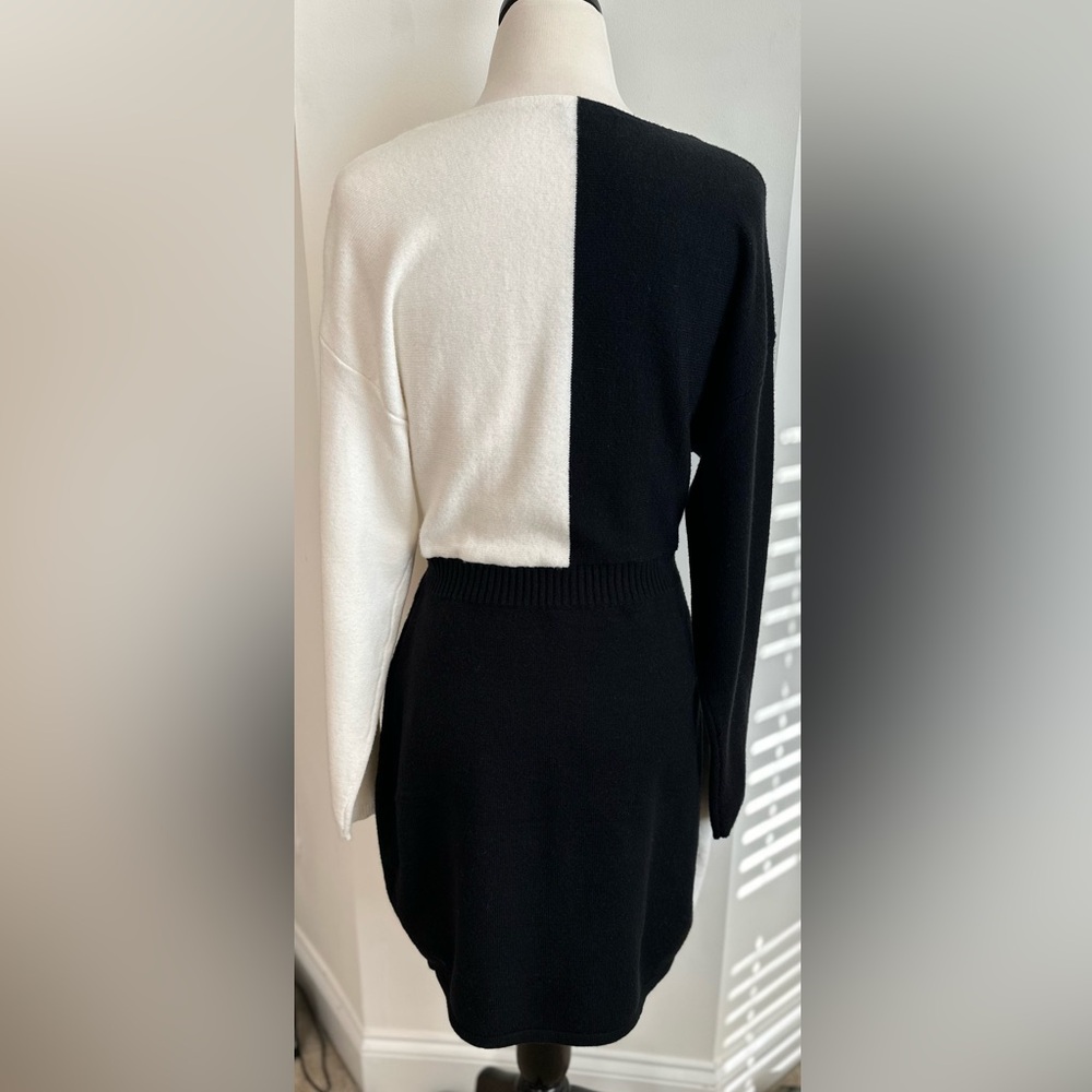 Express Block Sweater Dress